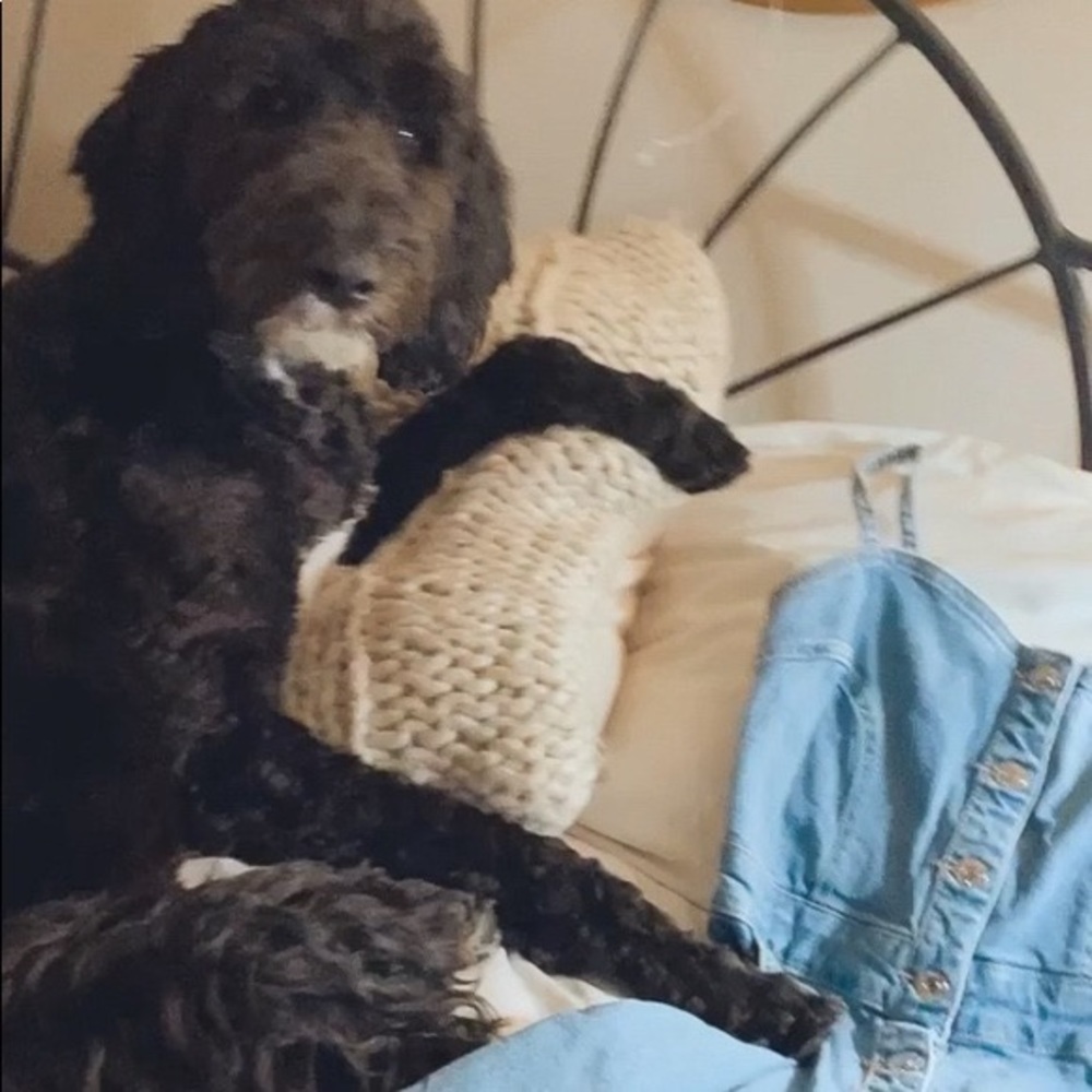 Guess, Women’s Denim Dress with Overalls, Size 2 - Picture 5 of 5